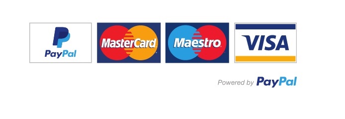 PayPal Here Payments Acceptance Logo